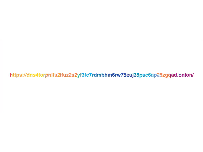Introducing DNS Resolver for Tor