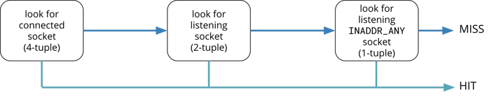 tcp socket lookup-1