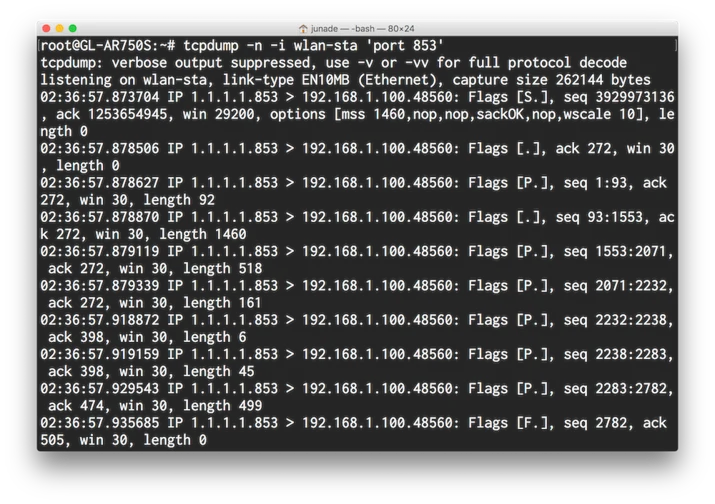 TCPDump on Encrypted DNS
