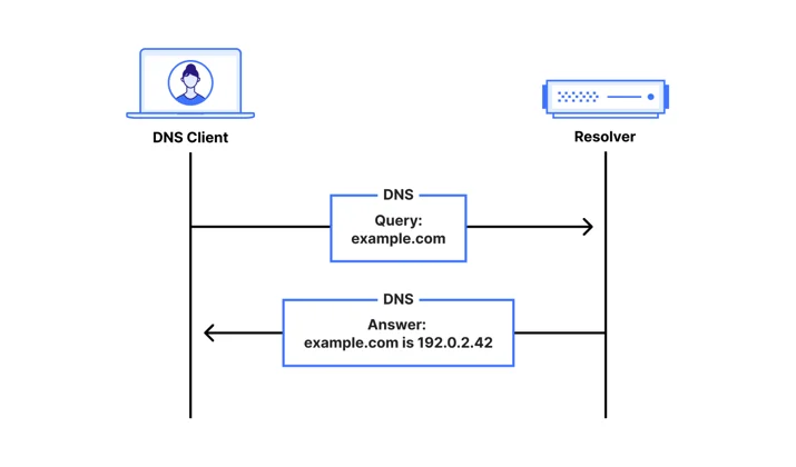 DNS over UDP Query for example.com