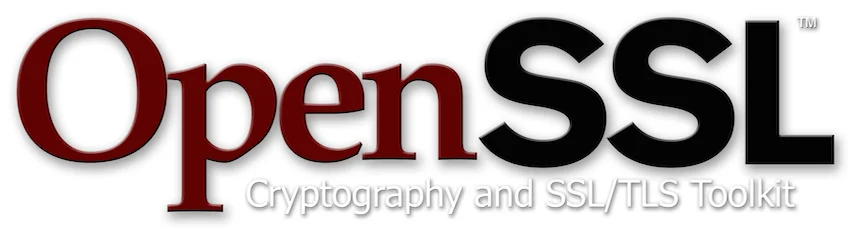 Staying ahead of OpenSSL vulnerabilities