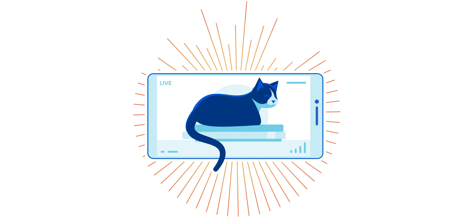 Building a Pet Cam using a Raspberry Pi, Cloudflare Tunnels and Teams